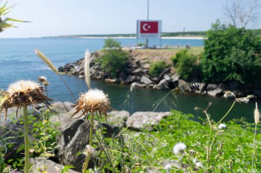 Bulgaristan ve Türkiye 'nin nehir ve sınırlarıyla güneşli sahil