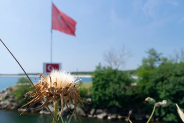 Bulgaristan ve Türkiye 'nin nehir ve sınırlarıyla güneşli sahil