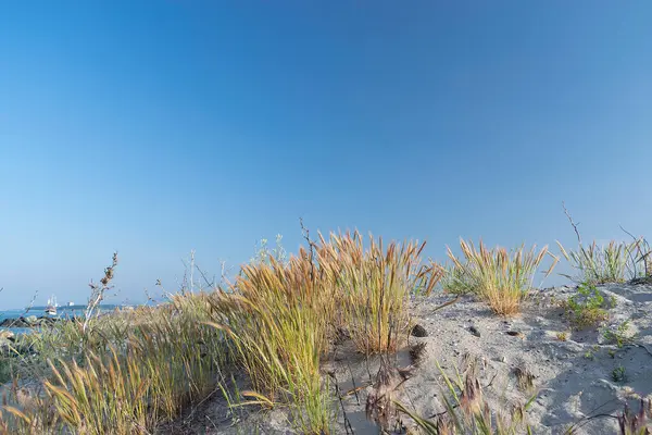 Sahilde dalgalanan dalgalar - Bulgar deniz manzaraları