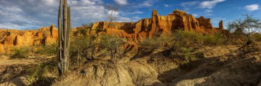Panoramic view of Desert Tatacoa - Desierto de la Tatacoa, Huila Colombia. Amazing dry landcscape strewn with cacti during sunset, dramatic cloudy skies. Dry tropical forest.  clipart
