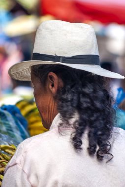 Boyaca bölgesinin ilk yerleşimcileri yaklaşık 12.000 yıl önce geldi. Milattan önce 500 'lerde. Muisca halkı, sosyal, kültürel ve üretken organizasyonun tezahüratlarıyla ülkenin en gelişmiş bölgelerini işgal etti.