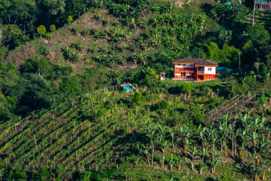 RURAL AREA _ CALDAS _ COLOMBIA _ Kahve Kültür Peyzajı 'nın kökleri İspanyol sömürge mimarisine dayanır ve İspanyol öncesi konutlarda ortak malzemelerin kullanımında ifade edilir..