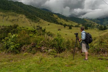 COCORA VALLEY _ QUINDIO COLOMBIA, 30 _ 12 _ 2014, Kolombiya And Dağları 'nın merkez sıradağlarında yer alan doğal bir manzaradır. Kolombiya 'nın ulusal ağacı Quindio balmumu palmiyesi ile ünlüdür..