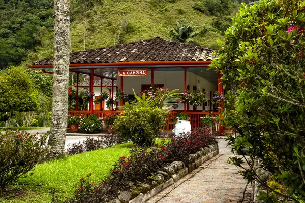 COCORA VALLEY _ QUINDIO COLOMBIA, 30 _ 12 _ 2014, Kolombiya And Dağları 'nın merkez sıradağlarında yer alan doğal bir manzaradır. Kolombiya 'nın ulusal ağacı Quindio balmumu palmiyesi ile ünlüdür..