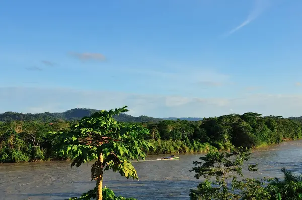 Yoğun Amazon yağmur ormanlarından akan görkemli Napo Nehri 'nin panoramik görüntüsü, açık mavi gökyüzünün altında, yumuşak bulutlarla. Küçük bir tekne nehirde hareket ediyor, el değmemiş bir doğal ortamda macera ve keşif hissi uyandırıyor..