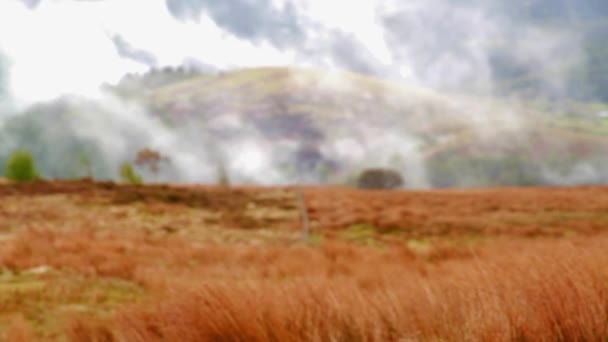 Blurred Defocused Video Dramatic Water Vapour Mist Steam Rising Hill — Stock Video