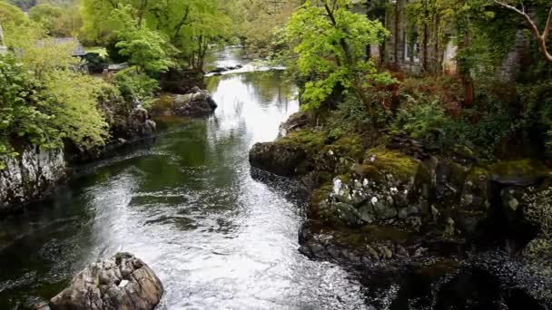 Video Tranquil River Conwy Betws Coed Kuzey Galler Snowdonia Ngiltere — Stok video