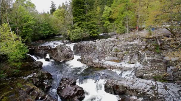 Video Betws Coed Cascada Agua Que Fluye Sobre Pequeña Cascada — Vídeos de Stock