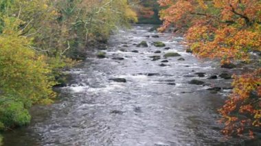 Llanystumdwy 'deki Afon Dwyfor Nehri, David Lloyd George ile ilişkili bir köy. Criccieth, Kuzey Galler, İngiltere, manzara.