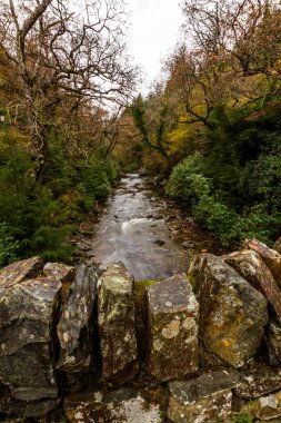 İngiltere nehri sonbaharda, ön planda köprünün kuru taş duvarının üzerine dökülür. Sonbaharda Coed y Brenin Orman Parkı 'ndaki Afon Mawddach nehri Dolgellau, Snowdonia, Kuzey Galler, İngiltere' de portre yakınlarına düşüyor.