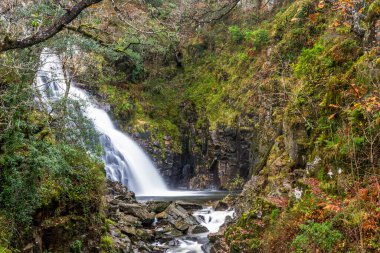 Sonbaharda Coed y Brenin Orman Parkı 'ndaki Pistyll y Cain Şelalesi, Dolgellau, Snowdonia, Kuzey Galler, İngiltere, İngiltere yakınlarındaki manzara