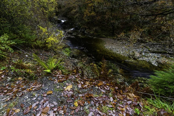 Река Афон Моуддах Лесном Парке Coed Brenin Осенью Водопад Возле — стоковое фото