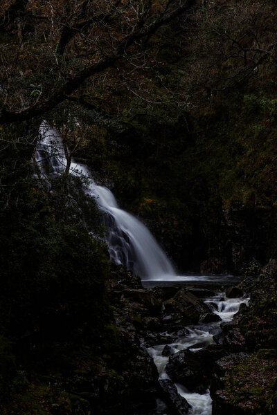 Pistyll y Cain Waterfall in Coed y Brenin Forest Park in Autumn, fall, portrait near Dolgellau, Snowdonia, North Wales, UK, portrait