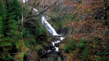Sonbaharda Coed y Brenin Orman Parkı 'ndaki Pistyll y Cain Şelalesi Dolgellau, Snowdonia, Eryri veya Kuzey Galler yakınlarındaki manzara, geniş açı