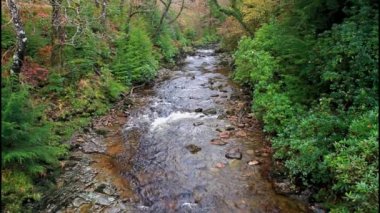 Sonbaharda İngiltere nehri. Sonbaharda Coed y Brenin Orman Parkı 'ndaki Afon Mawddach Nehri Dolgellau, Snowdonia, Kuzey Galler, Birleşik Krallık yakınlarına düşer.