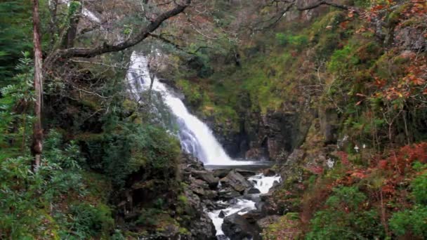 Pistyll Cain Waterfall Coed Brenin Forest Park Hösten Hösten Porträtt — Stockvideo
