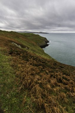 Anglesey Kuzey Sahil Yolu, Galler. Sonbahar ya da sonbahar yolu, deniz, portre, batıya bakan geniş açı.