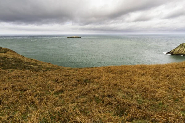 秋天或秋天 英格兰北部威尔士海岸的红色蕨类 老鼠中岛在远处 — 图库照片