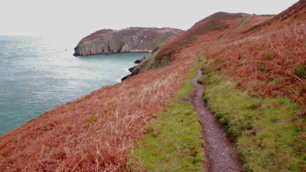 Video Anglesey North Coastal Path Уэльс Осень Осень Пути Море — стоковое видео