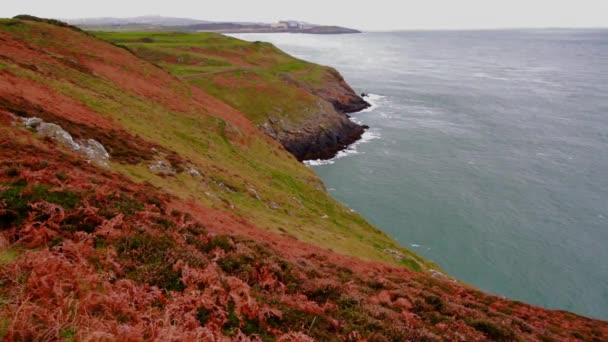 Wideo Anglesey North Coastal Path Walia Jesienna Lub Jesienna Ścieżka — Wideo stockowe