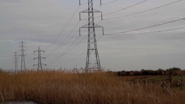 Vidéo Ligne Pylônes Électriques Distance Dessus Campagne Paysage Faible Luminosité — Video