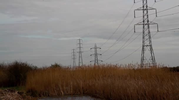 Video Von Strommasten Die Ferne Über Der Landschaft Landschaft Mit — Stockvideo