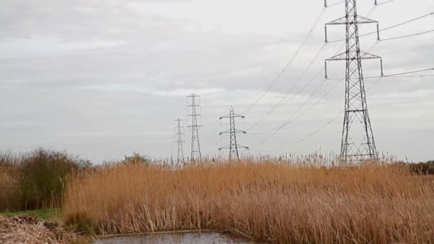 Vidéo Pylônes Électriques Distance Dessus Campagne Paysage Avec Copyspace — Video