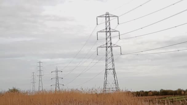 Video Elektrik Direklerinin Kırsal Alandan Uzaklığa Doğru Çizgisi — Stok video