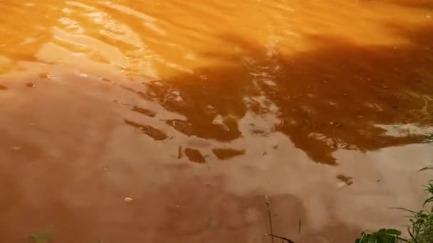 Video Oberfläche Des Orangefarbenen Von Ton Gefärbten Wassers — Stockvideo