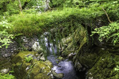 Roma Köprüsü, adı 17. Yüzyıl yük beygiri köprüsü, Penmachno, Conwy, Kuzey Galler, İngiltere, peyzaj, kapat