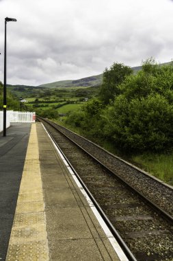 Pont Rufineig veya Roma Köprüsü Tren İstasyonu Platformu, Kuzey Galler, portre