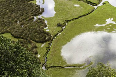 Drywyd nehri ya da gelgitler. Penrhyndeudraeth, Eryri veya Snowdonia Milli Parkı, Galler.