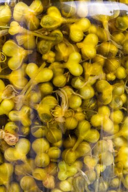 Kavanozun içinde yabani sarımsak ya da Ramson tohumu tohumu tomurcukları bulunan Macro tablosu.