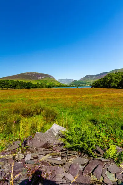 stock image Beautiful day with wide angle from Nantlle showing valley and Snowdon or Yr Wyddfa in distance. Snowdonia or Eryri National Park, North Wales, UK, portrait