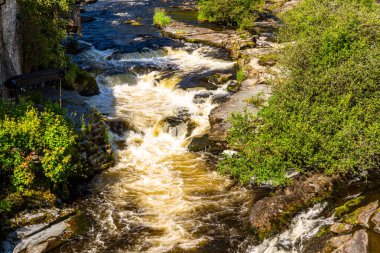 Dee Nehri, güneşli bir günde Llangollen, Denbighshire, Kuzey Galler 'de çağlıyor..