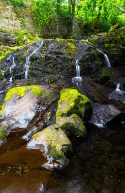 Galce 'de Rhaeadr y Tylwyth Teg denilen Peri Şelalesi' nin ana bölümü. Trefriw Conwy County 'de şelale, Kuzey Galler, İngiltere, düşük su, çünkü yaz gelirse, portre.