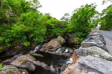 Cyfyng Falls are waterfalls between Betws-y-Coed and Capel Curig, on the River or Afon Llugwy, landscape, dry stone wall in foreground, Snowdonia or Eryri National Park clipart