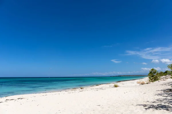 プラヤ クエバ ビーチ ペデルナレス ドミニカ共和国の純白の砂と透明な水 鮮やかな色 ハイチとの国境付近の素晴らしい海 — ストック写真