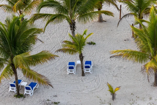 호텔의 플라스틱 해면높은 야자나무 사이의 모래사장에서 — 스톡 사진