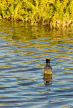 Gölde, bataklıkta ya da nehirde yüzen şişeyi yakından çek. İçinde bir şey olsun, belki eski bir mesaj..
