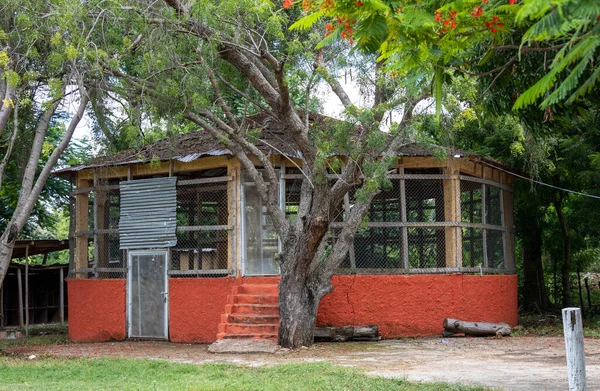 Village cock fighting cage and arena in a small rural town of the Dominican Republic, painted bright red.