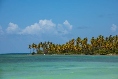 Wide angle view of the sea and beach in Playa Fronton in LAs Galeras, Dominican Republic. Turquoise blue sea, palms, tropical summer mood.