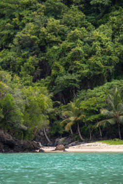 Playa Ermitano, paradise beach in the Samana Peninsula area. Lush vegetation descending from the hills to the sea, aquamarine water, palm trees, tropical and exotic paradise.