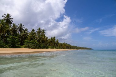 Beautiful view of sea, palms and golden sand of Playa Coson, near Las Terrenas, in the Samana Peninsula of the Dominican Republic. Tropical paradise, exotic beach destination.