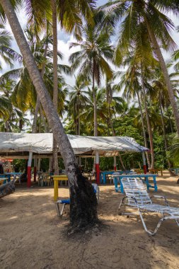 Playa Coson, Dominican Republic, august 2022. View of a typical rustic beach restaurant with plastic chars, palms and amazing sea view.