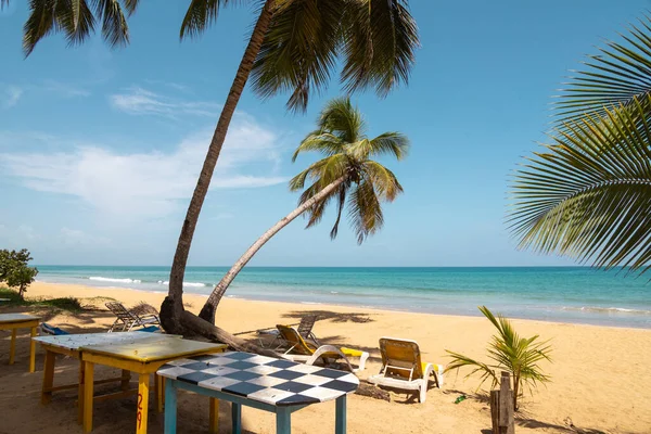 Playa Coson Dominican Republic August 2022 View Typical Rustic Beach — 스톡 사진