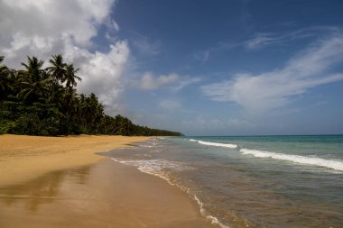 Beautiful view of sea, palms and golden sand of Playa Coson, near Las Terrenas, in the Samana Peninsula of the Dominican Republic. Tropical paradise, exotic beach destination.