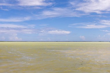 Pedernales yakınlarındaki Dominik Cumhuriyeti 'nin güneyindeki Laguna de Oviedo gölünün etkileyici renkleri. Kahverengi metalik su, mavi gökyüzü.