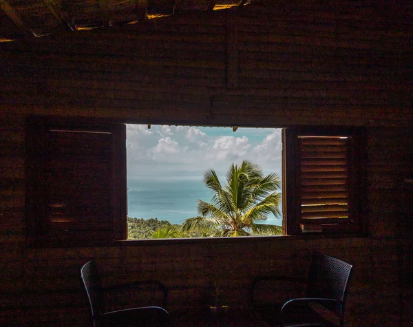 야자수 내려다 보이는 방갈로 안에서 대조적 카리브해의 섬에서의 — 스톡 사진
