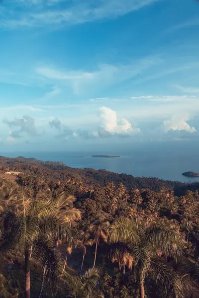 야자나무로 뒤덮인 꼭대기에서 도미니카 공화국의 아름다운 사바나 만을바라본다 — 스톡 사진